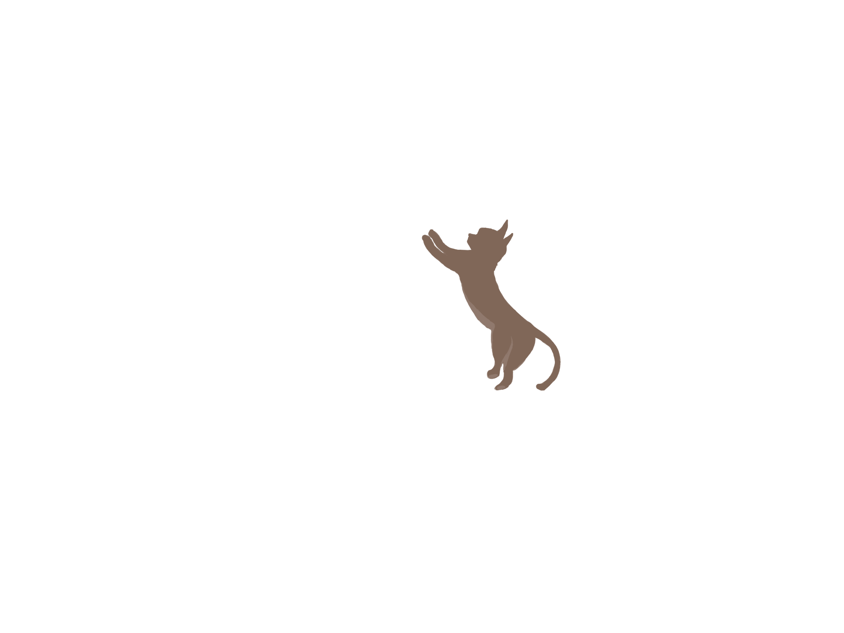 小猫剪影