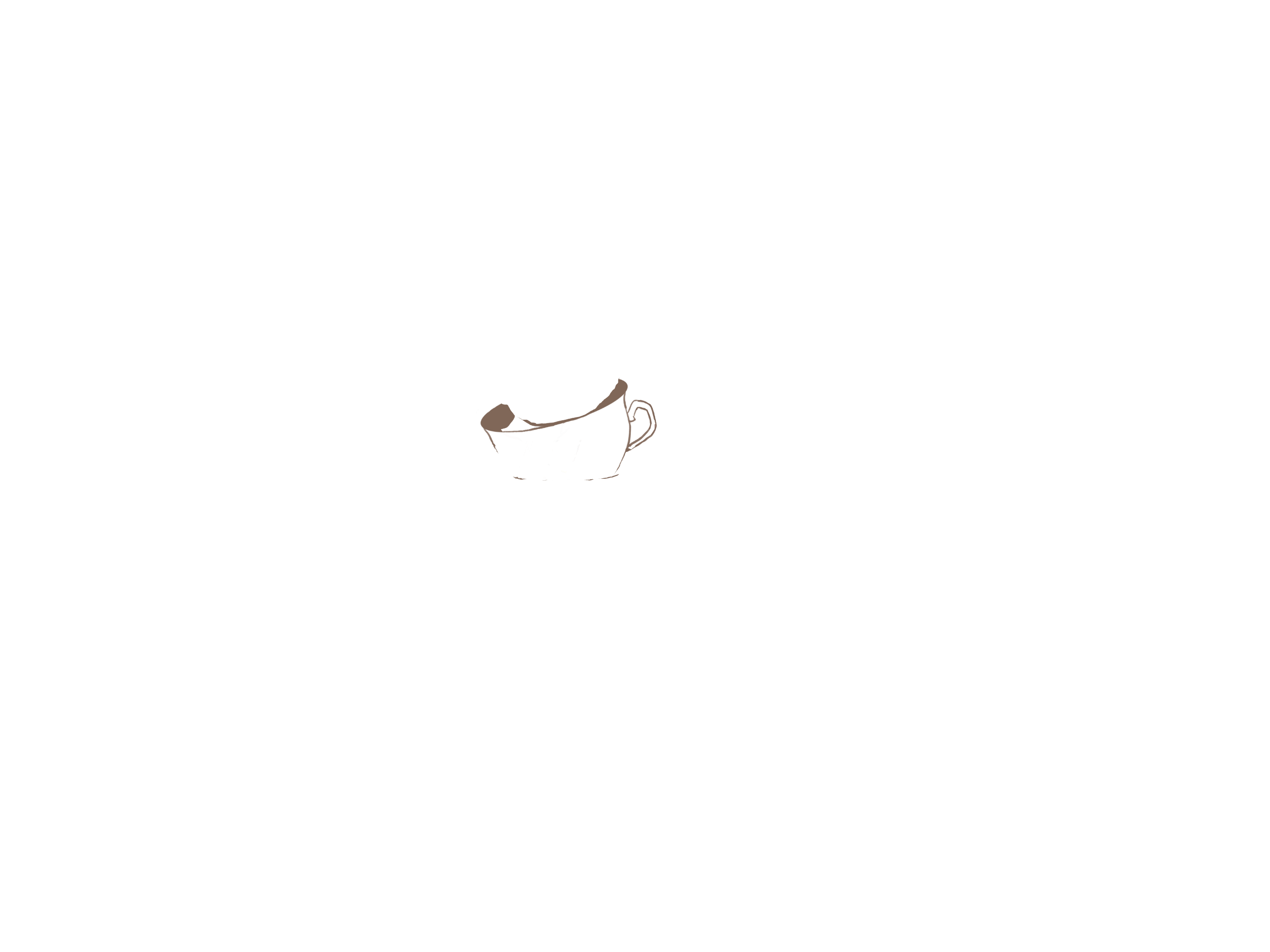 茶杯2